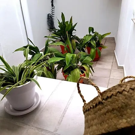Apartamento Alberzana - Barrio Albaicin - Granada-3